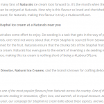 Article News Banner