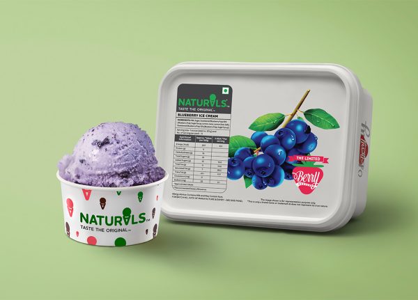 Blueberry Ice Cream Container
