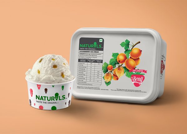 Gooseberry Ice Cream Container