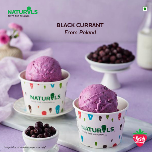 Black Current Ice Cream