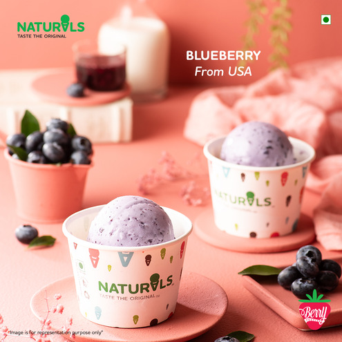 Blueberry Ice Cream