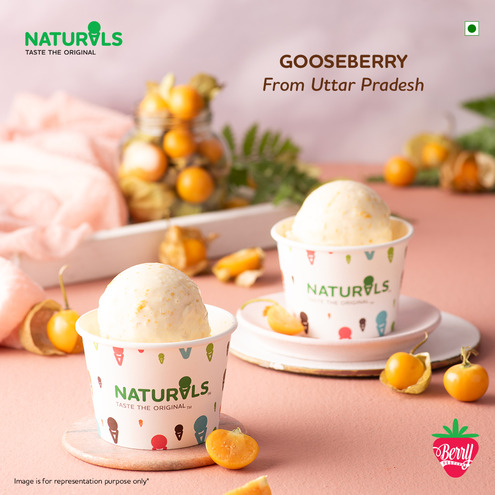 Gooseberry Ice Cream