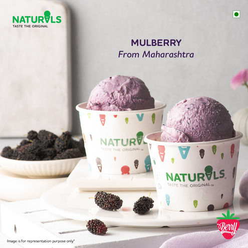 Mulberry Ice Cream
